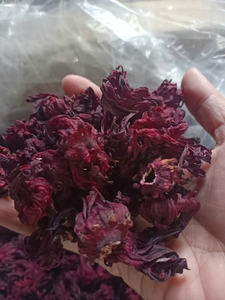 Fleurs d'hibiscus séchées, calyx de roselle naturel pour la fabrication de boissons, Vietnam par 99 Gold Data - Mme Violet - Product Image 6