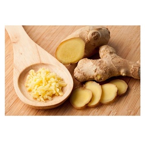 Raíz de Jengibre Fresca de Primera Calidad al por Mayor, Vegetales Frescos, Jengibre a Granel a Precio Económico - Product Image 5