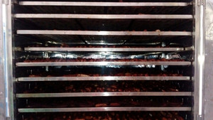 VENTA CALIENTE Plátano Deshidratado en Rodajas, Opción Premium para Cafés, Panaderías y Decoración de Bebidas, de Vietnam - Product Image 6