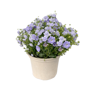Pioneera Wholesale 16cm Durable Grower <strong>Pots</strong> <strong>Plant</strong> Fiber Rice Husk Eco Friendly Planter <strong>Biodegradable</strong> Planting <strong>Pots</strong> Grower <strong>Pots</strong> - Product Image 4