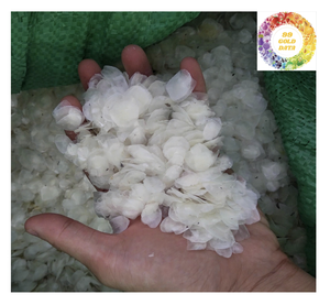 เครื่องชั่งปลากะพงแห้งคุณภาพระดับพรีเมี่ยมจากเวียดนาม - Product Image 2