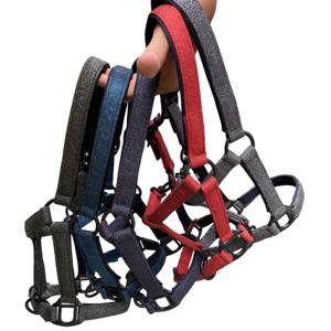 Licol à cheval personnalisé en nylon pailleté avec selle anglaise Accessoires de participation de style équipement pour chevaux y compris bride pour EquineCare - Product Image 1