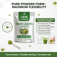 Bubuk Daun Neem Bahan Baku Herbal Murni Berkualitas Tinggi Grosir untuk Suplemen Makanan