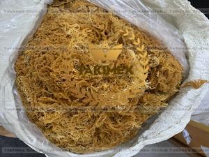 Mousses d'Irlande 100% naturelles de haute qualité en provenance du Vietnam - Product Image 4