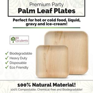 Assiettes à dîner jetables écologiques Areca Palm 100% Design carré naturel pour la maison, le mariage ou le camping. - Product Image 4