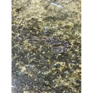 12x12 Azulejo de ducha de baño de granito verde coral marino Remodelación de (10 pies cuadrados) Limpiadores multiusos - Product Image 1