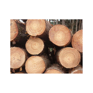 E Chips Secas Raw Animal Cama de Madeira Serragem e Logs Melhor Preço 100% raw <span class=keywords><strong>Pine</strong></span> Wood Logs/madeira Na Melhor - Product Image 6