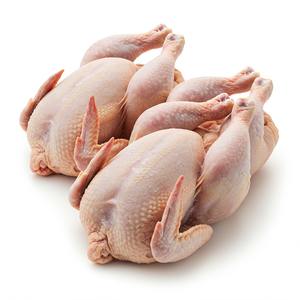 Venta caliente pollo congelado empaquetado en vitaminas a granel rica calidad confiable y capacidad de almacenamiento para supermercados y distribuidores - Product Image 5