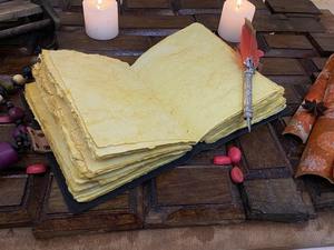 Journal en cuir véritable pour femmes fait à la main beau carnet de croquis arbre de vie avec reliure en spirale pour voyager et prendre des notes - Product Image 4