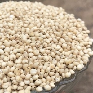 Dried sweet sorghum grains Sorghum seed for food processing Whole <b>millet</b> for sale Sweet sorghum grains for feed For Sale - Product Image 2