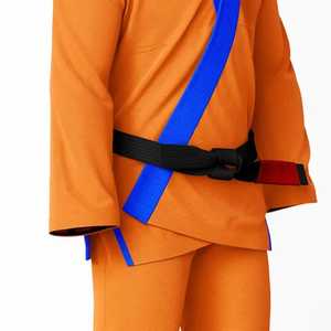 Meilleures ventes uniformes de karaté vêtements de sport d'arts martiaux karaté jiu jitsu kimono avec ceinture manches longues uniforme de karaté d'autodéfense - Product Image 4