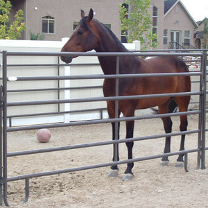 Paneles galvanizados de corral para caballos con valla eléctrica solar para granja ganadera Panel de caballos al por mayor - Product Image 2