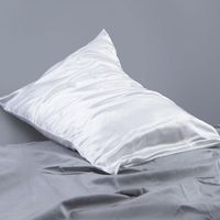 Taie d'oreiller de luxe 100% Soie de Mûrier, Taille Queen, 22 Momme, Double Face, Grade 6A, Fermeture à Enveloppe, Logo Personnalisé, 20 x 30, Pour Maison et Hôtel