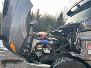 MarchExpo Retour pour 2019/2021 Freightlinerr tracteur couchette dans des camions légers d'occasion à transmission automatique 299,117 Miles - Product Image 3