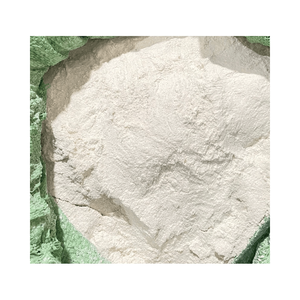 Poudre de lait de coco de haute qualité pour la vente en gros à prix compétitif - Product Image 1