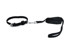 Collier pour chien robuste personnalisé style de luxe avec nylon épais et boucle en métal solide et durable conçu pour les chiens de taille moyenne - Product Image 5