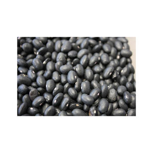 Frijoles negros naturales disponibles para tiendas de alimentos saludables y tiendas orgánicas - Product Image 3