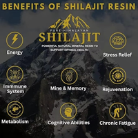 Résine de Shilajit Pur de l'Himalaya Marque Blanche avec 82%+ d'Acide Fulvique et Oligo-éléments – Complément Alimentaire Premium 30g