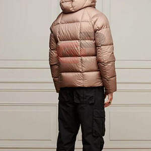 Veste polaire personnalisée de qualité supérieure Veste polaire remplie de duvet imperméable et légère pour l'extérieur, vente en gros - Product Image 2