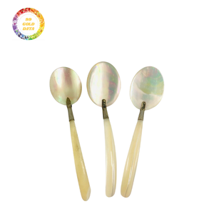 Utensilio de nácar artesanal Cuchara de concha de gama alta para catering gourmet, hoteles y restaurantes elegantes - Product Image 1