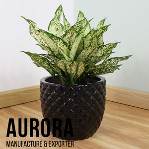 Maceta de Cerámica Ecológica, Nuevo Diseño, Artículos para Jardín y Hogar, Precio de Fábrica, Macetas con Orificio de Drenaje y Acabado Esmaltado - Product Image 4