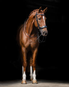 Presteq Weymouth cuero Western Horse Brida logotipo personalizado para carreras con Headstall y brida bolsa incluida - Product Image 6