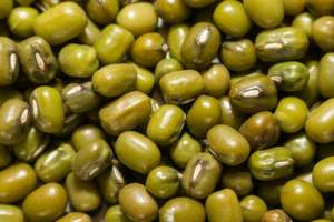 Premium sprouting mung <b>beans</b> moong Vigna offered in 100g 250g 1kg 25kg bulk <b>bags</b> ideal <b>for</b> wholesalers retailers and bulk buyers - Product Image 6
