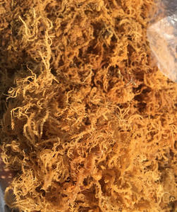 สาหร่ายทะเลธรรมชาติระดับพรีเมียมจากมหาสมุทร/ สาหร่ายไอริชจากธรรมชาติ ผลิตในเวียดนาม/ ของขวัญจากธรรมชาติ - Product Image 2