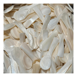 Cuillère en nacre naturelle exquise, cuillère en nacre magnifiquement fabriquée à la main, outil de salle à manger élégant et durable - Product Image 2