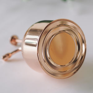 250ml Vintage RVS Plantenspuit |   Metalen sproeier voor binnenplanten en bevochtiging - Product Image 3