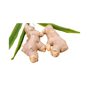 Cómo usar el jengibre para obtener los máximos beneficios para la salud - Product Image 4