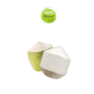 Vietnam Diamond Peeled Coconut Establece Presencia Global en Productos Agrícolas - Product Image 6