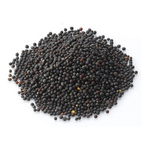 Semillas de colza de calidad original/semillas de canola/semillas de colza al mejor precio al por mayor - Product Image 3