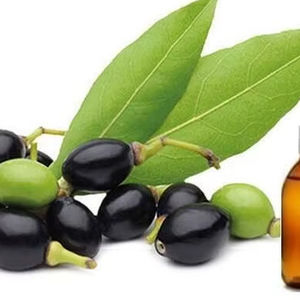 Vente en gros d'huile essentielle de laurier certifiée ISO huile essentielle de baie de laurier biologique de haute qualité d'huile de feuille de laurier d'Inde - Product Image 1