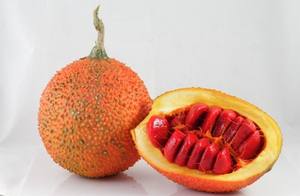 À vendre Pure Gac Fruit Powder/Poudre Gac de haute qualité du Vietnam/ Shyn Tran - Product Image 6