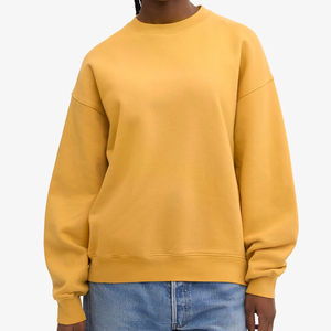 Nuevo diseño, temporada de invierno, sudaderas lisas para mujer, suéter holgado a la moda para mujer, Sudadera con cuello redondo bordada de felpa para mujer - Product Image 1