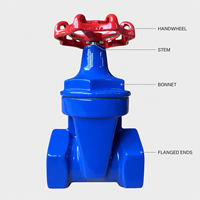Vanne à opercule manuelle filetée en fonte ductile, joint souple Z15X-16Q PN16, tige non montante, tige en acier inoxydable 2Cr13, raccord femelle BSP NPT DN15-DN65, pour eau