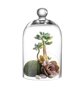 Clear <b>Glass</b> Modern <b>Display</b> <b>Dome</b> Cloche Bell Jar Tabletop Decorative Case Customized Size Logo for Covered Plants Food - Product Image 1