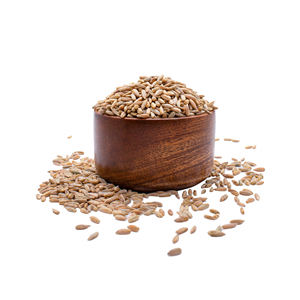 Seigle d'hiver de haute qualité/Grains de seigle biologiques/Son de seigle et flocons de seigle - Product Image 3