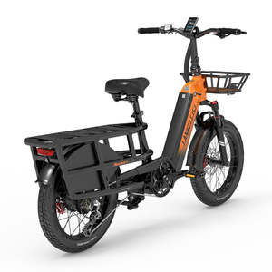 Lankeleisi Wombat-1 1000W ระยะยาว Cargo elcycel - Product Image 5