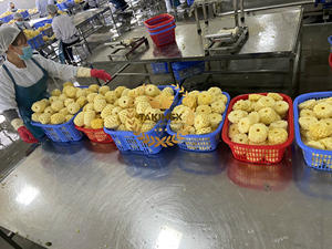 แพ็กเกจ OEM ยี่ห้อ Takimex สับปะรดกระป๋อง/ชิ้นในน้ำเชื่อมเบา (14-17% บริกซ์) จากเวียดนามคุณภาพดีมาก - Product Image 5