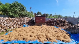 ขนแปรงใยมะพร้าวคุณภาพสูง เป็นมิตรต่อสิ่งแวดล้อม ขนาด 75 ซม. สำหรับเก็บของแห้ง แหล่งธรรมชาติจากอินโดนีเซีย ขายส่งสำหรับใช้งานได้หลากหลาย - Product Image 5