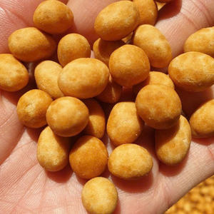 TreatIrresistible Jus de noix de coco sucré et salé Arachides croustillantes et savoureuses par un fabricant vietnamien de confiance - Product Image 6