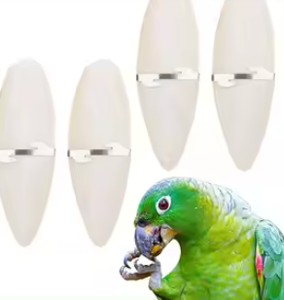 DELTA V Natural Cuttlebone Chew Toy para pájaros Comida de hueso económica para cerdo Caballo Ganado Uso directo de Vietnam - Product Image 5