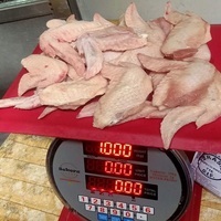 Sayap Ayam Beku 2 Bagian Berkualitas Tinggi Premium Proses IQF Kemasan Vakum 25kg Makanan Bergizi Persiapan Makan Malam Sehat