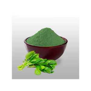 ผงผักโขมมีจำนวนมากสำหรับตลาดสุขภาพระหว่างประเทศและอาหาร - Product Image 4