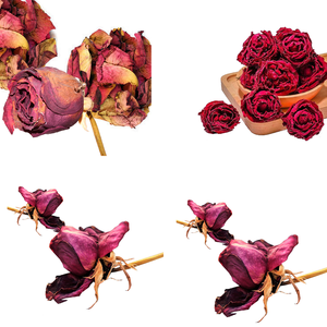 Flor de rosa roja seca | Embalado en bolsas higiénicas y sin humedad - Product Image 4