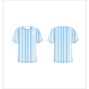 T-shirt à manches courtes rayé bleu pour homme, col rond, coupe classique, respirant, en polyester tissé, Trackstar OEM Private Label TSI-G05-P0713 - Product Image 1