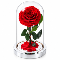 Vente en gros de roses éternelles préservées sous cloche en verre avec base miroir, cadeau élégant pour mariage, Noël, décoration intérieure