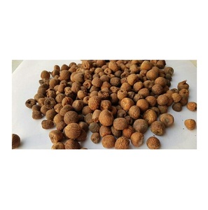Nuez de Betel Seca de Areca Catechu Orgánica de Primera Calidad, Orientada a la Exportación, Color Marrón, Origen Nuez de Betel - Product Image 4